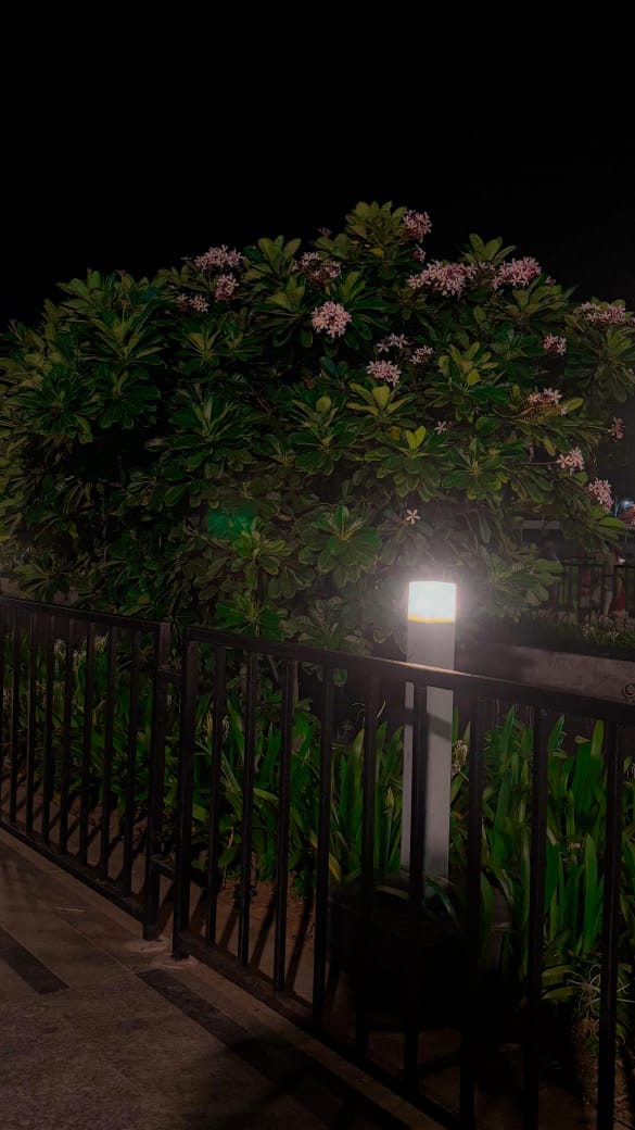 TEST ONLY Path bollard light